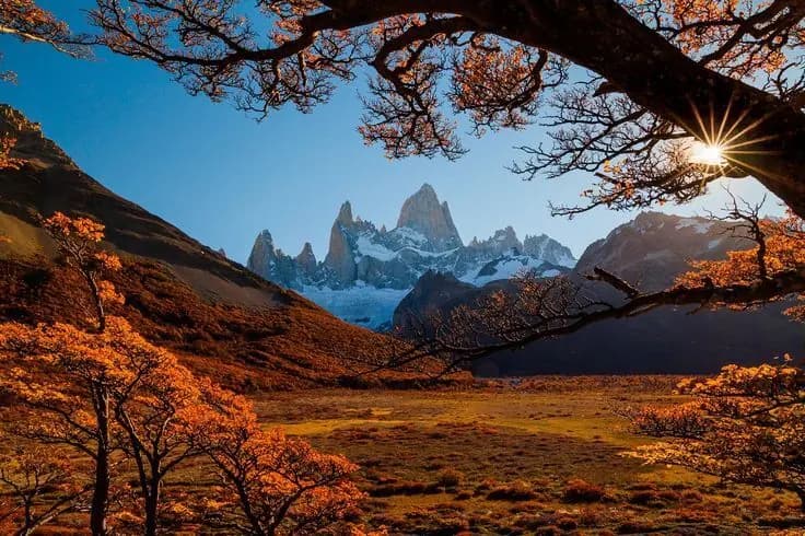 Exótico Argentina